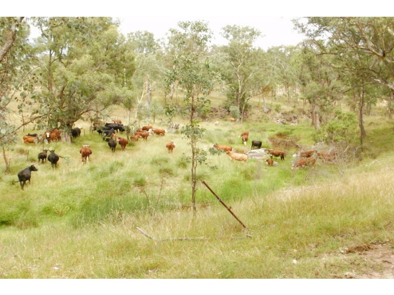 665 Carinya Road, Quirindi NSW 2343