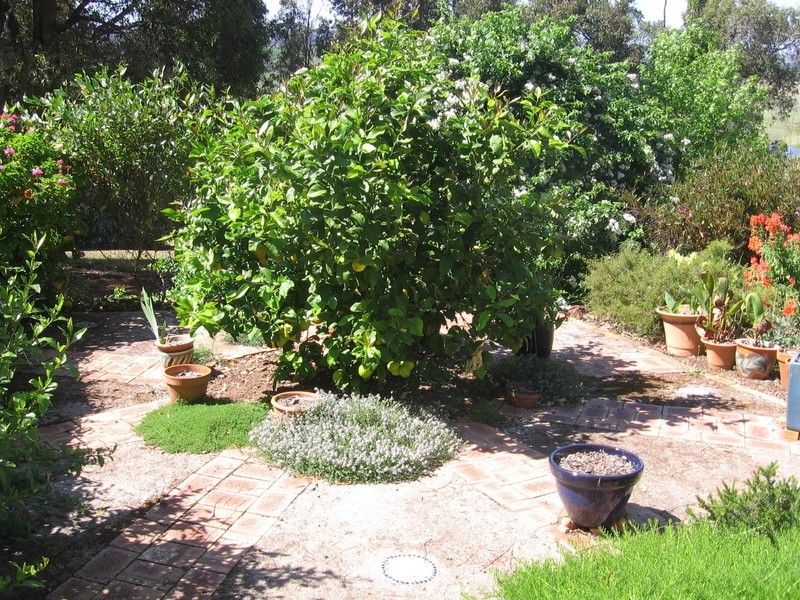 172 Warner Street, Mullalyup WA 6252