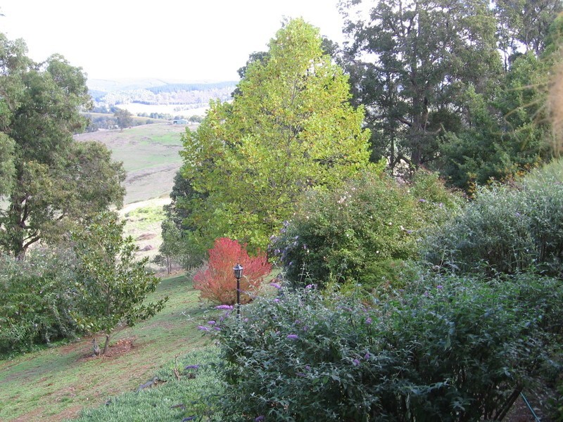 172 Warner Street, Mullalyup WA 6252