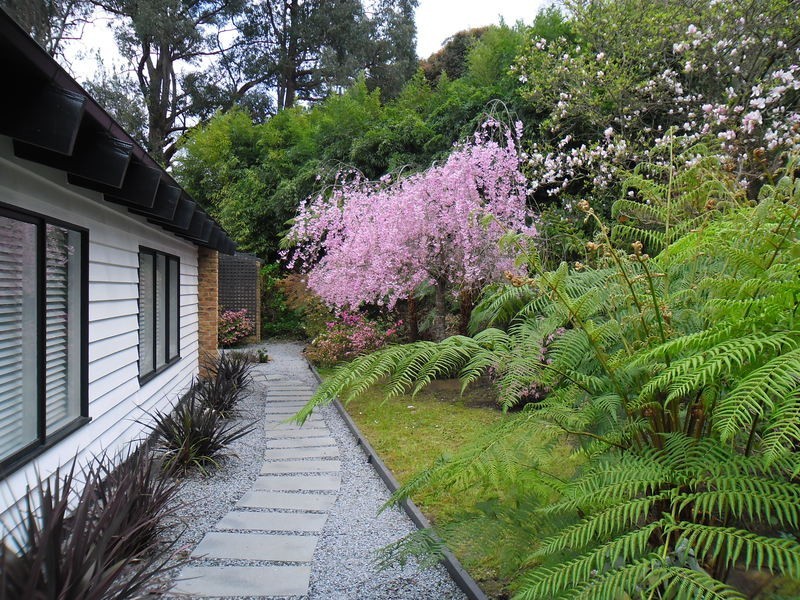 34 Selby-Aura Road, Menzies Creek VIC 3159