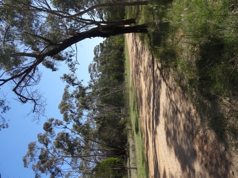 55 Noels Lane, Gherang VIC 3240