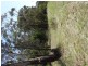 55 Noels Lane, Gherang VIC 3240