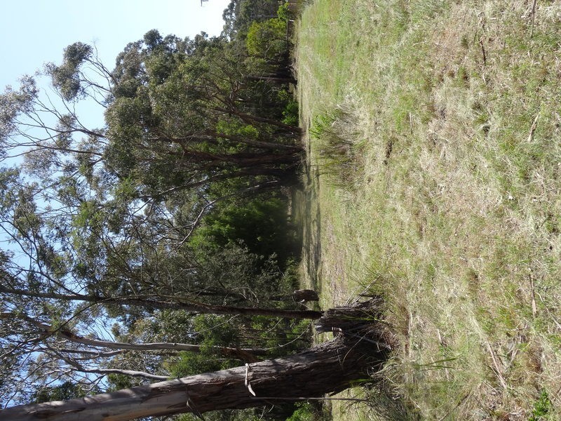 55 Noels Lane, Gherang VIC 3240