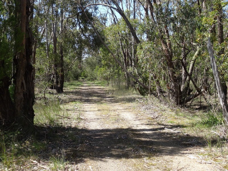 55 Noels Lane, Gherang VIC 3240