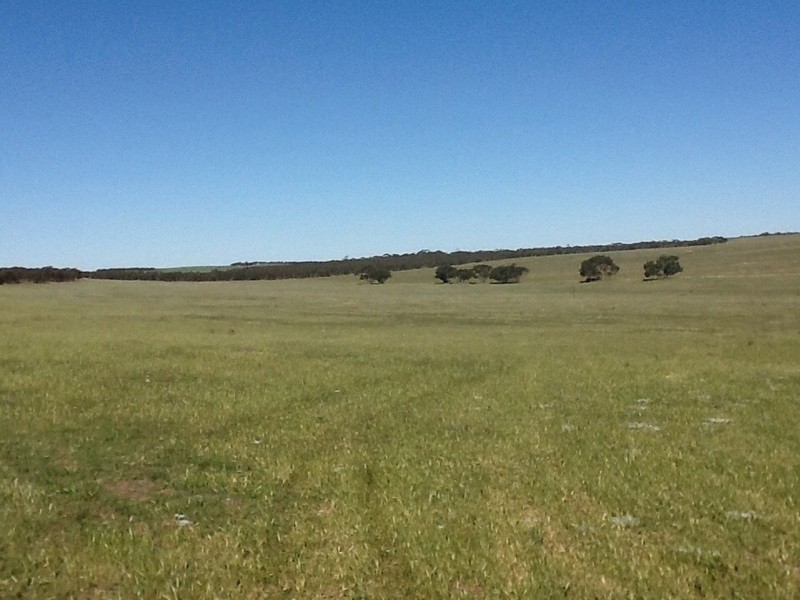 Lot 6 Cockshell Road, Bowhill SA 5238