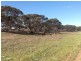 Lot 6 Cockshell Road, Bowhill SA 5238