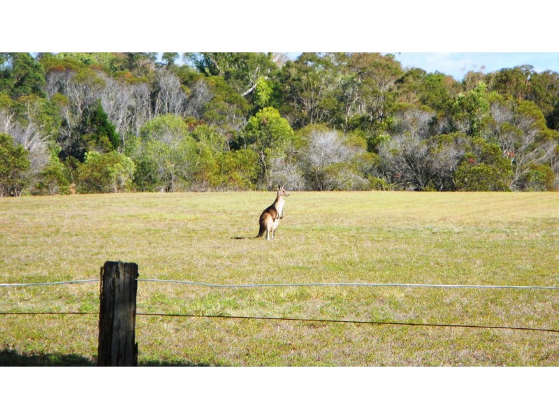 282 Sheehans Road, Calavos QLD 4670