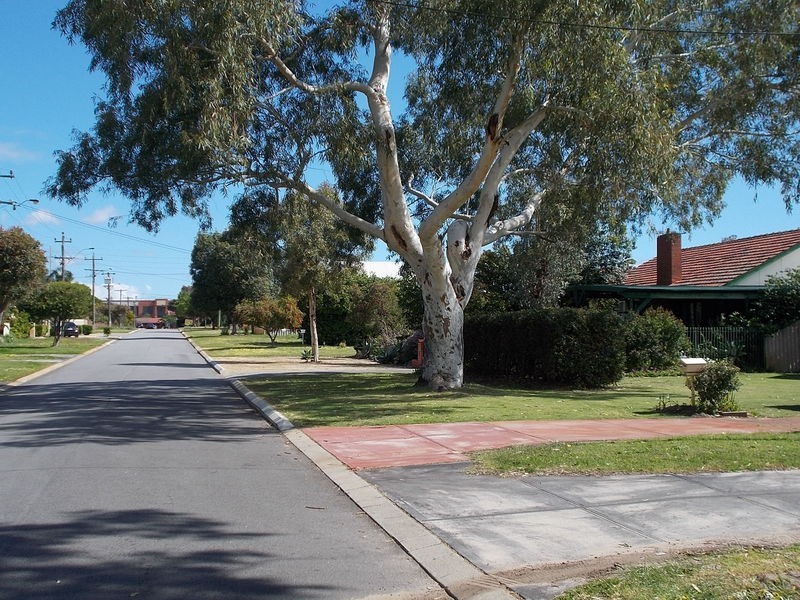 33 Reen Street, Kewdale WA 6105