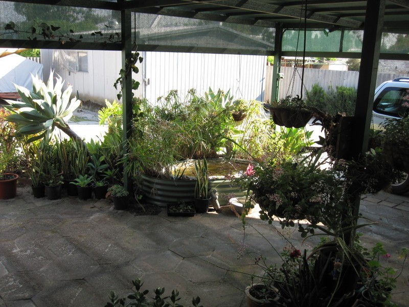 33 Reen Street, Kewdale WA 6105