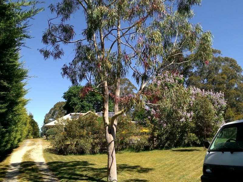 66 Dollar Woorarra West Road, Foster North VIC 3960