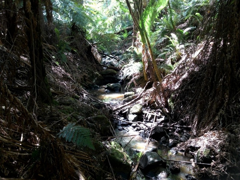 66 Dollar Woorarra West Road, Foster North VIC 3960