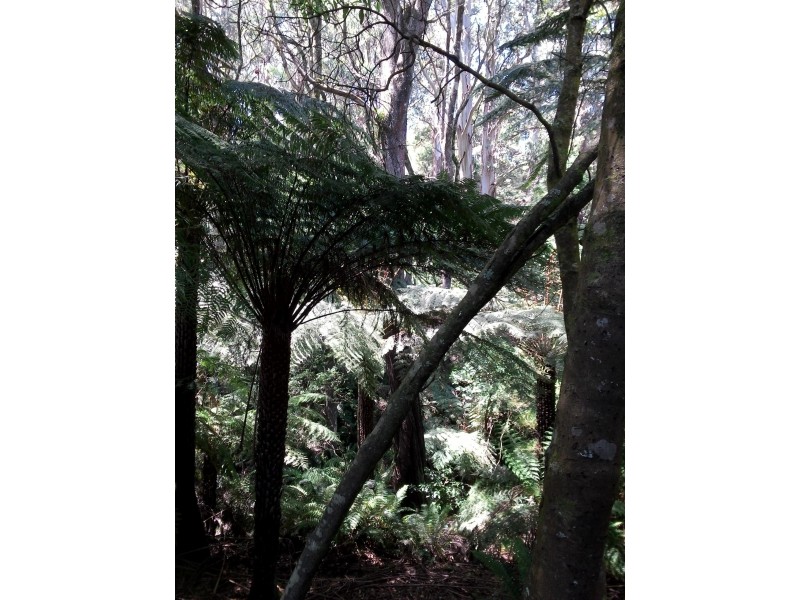 66 Dollar Woorarra West Road, Foster North VIC 3960