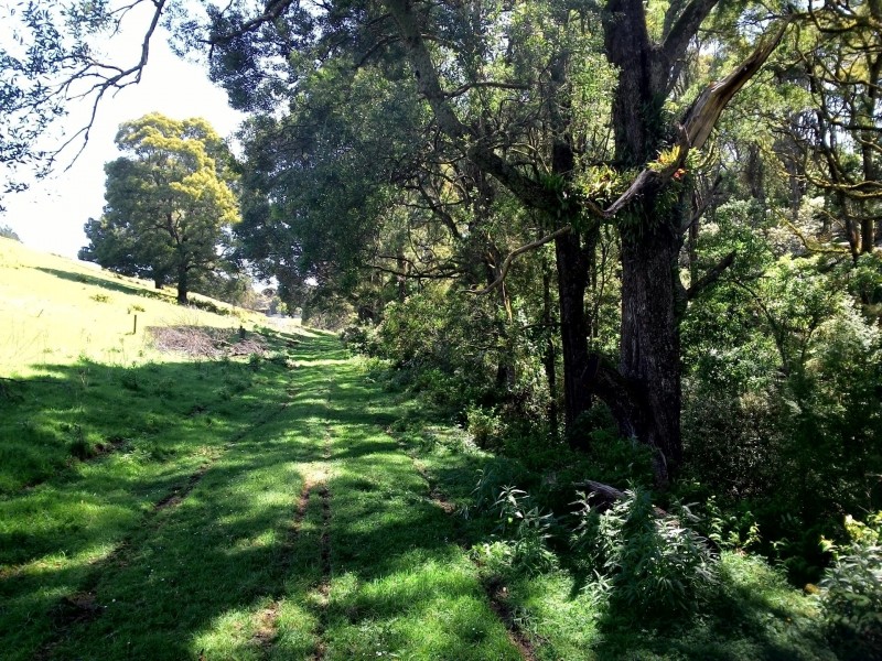 66 Dollar Woorarra West Road, Foster North VIC 3960