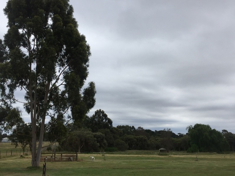 42  BINGHAM ROAD, Bullsbrook WA 6084