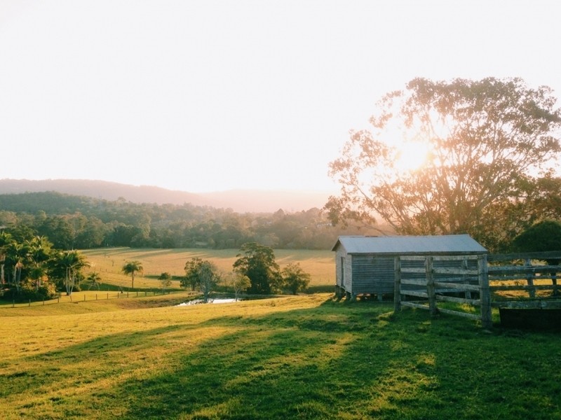 29 Birds Road, Maudsland QLD 4210