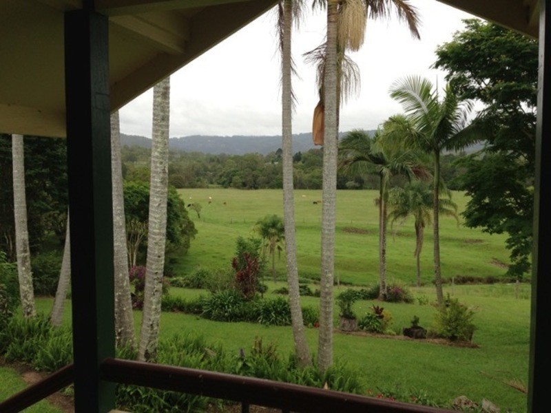 29 Birds Road, Maudsland QLD 4210