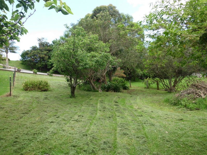 219 Fern Street, Gerringong NSW 2534