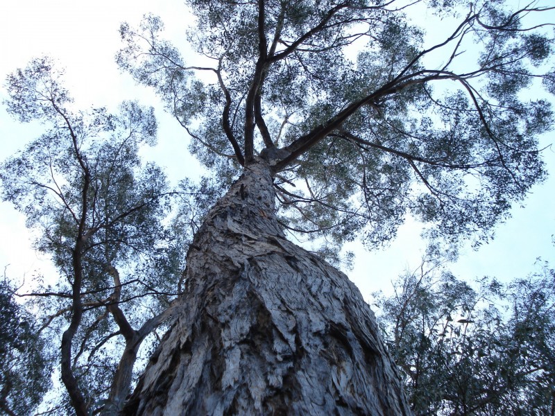 100 HackfordDrive, Kingston TAS 7050