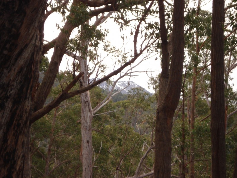 100 HackfordDrive, Kingston TAS 7050