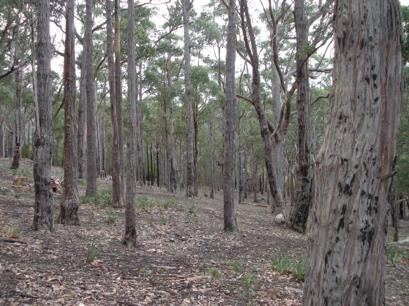 100 HackfordDrive, Kingston TAS 7050