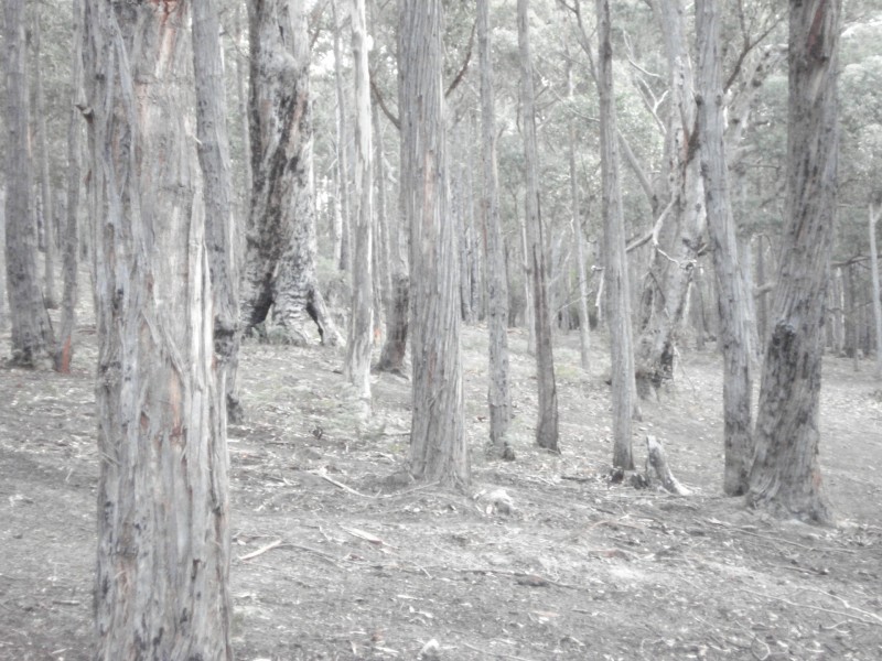 100 HackfordDrive, Kingston TAS 7050