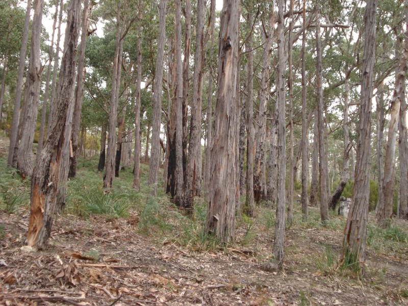 100 HackfordDrive, Kingston TAS 7050