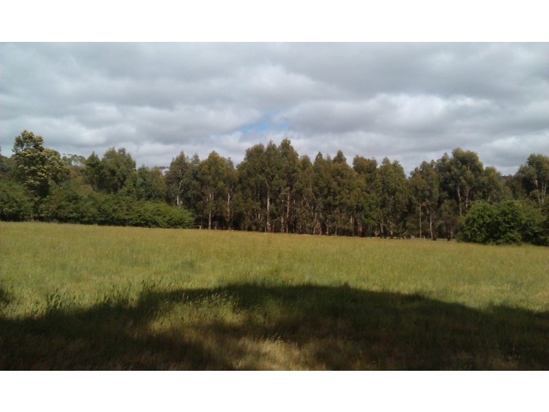 245  Ridge Road, Sailors Hill VIC 3461