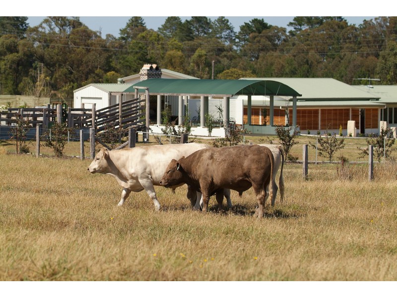 5 Mavin Lane, Stanthorpe QLD 4380