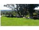 Dorrigo NSW 2453