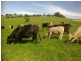 Dorrigo NSW 2453