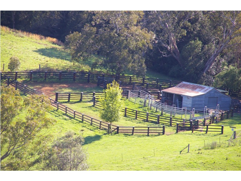 Dorrigo NSW 2453