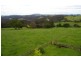Dorrigo NSW 2453