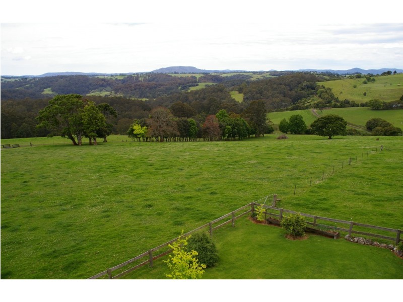 Dorrigo NSW 2453