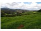 Dorrigo NSW 2453