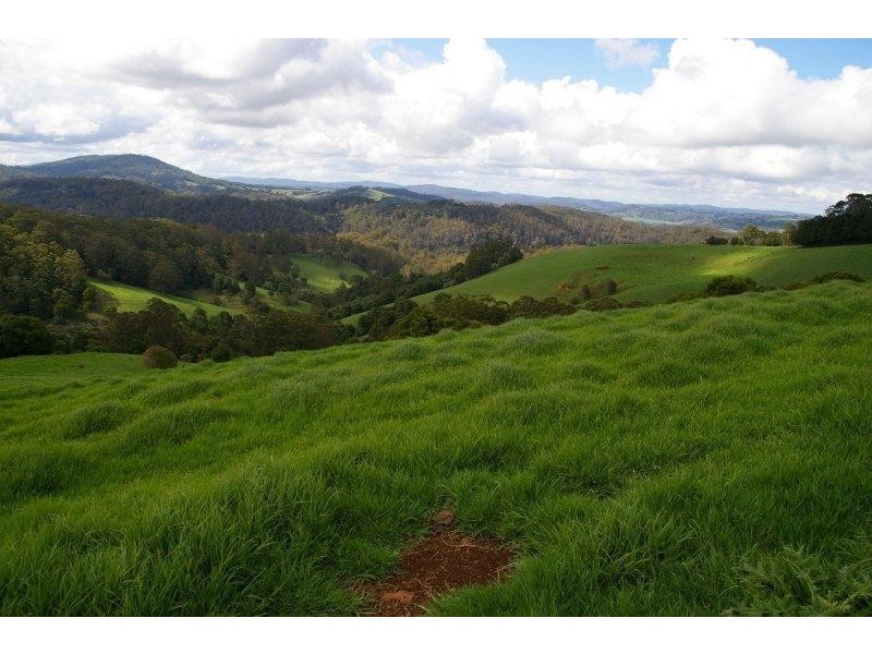 Dorrigo NSW 2453