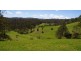 Dorrigo NSW 2453