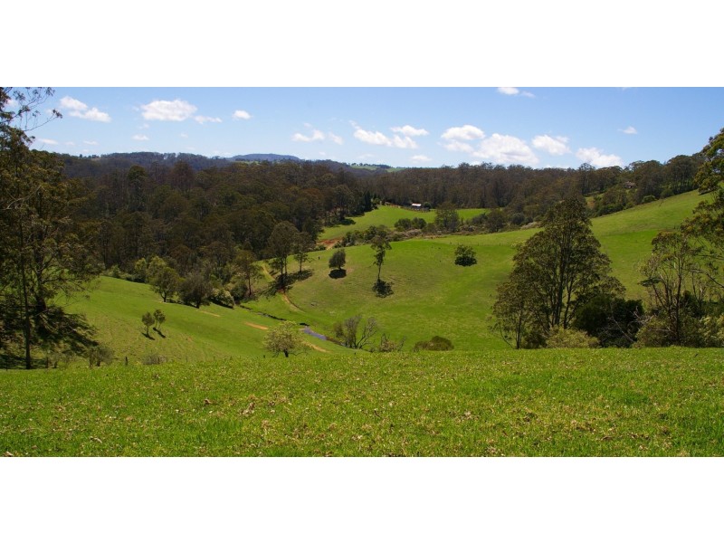 Dorrigo NSW 2453
