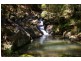 Dorrigo NSW 2453