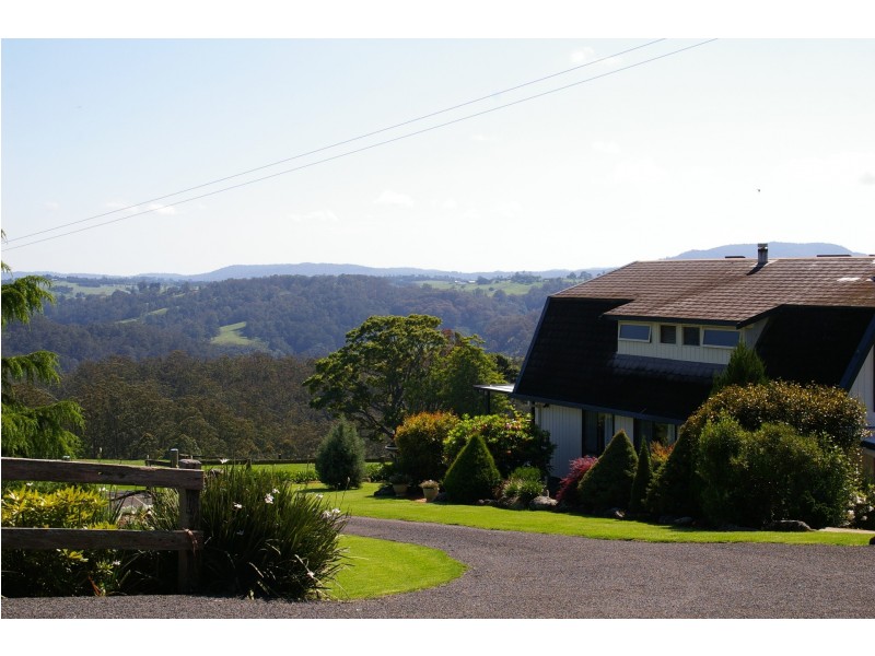 Dorrigo NSW 2453