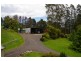 Dorrigo NSW 2453