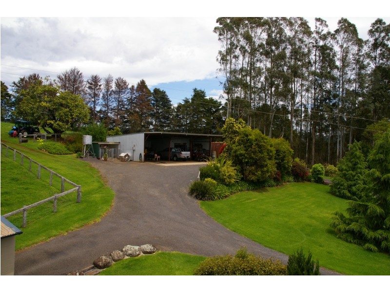 Dorrigo NSW 2453