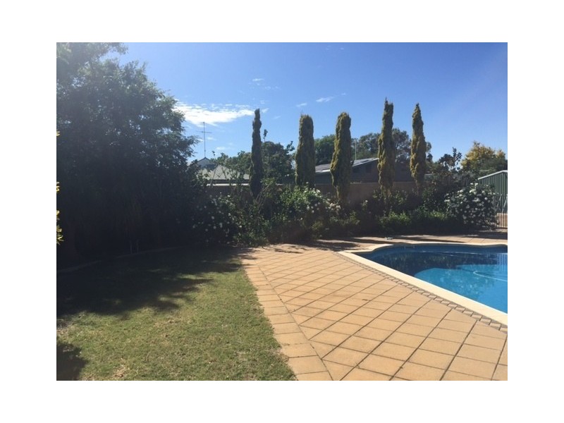 39 Honeytree Place, Falcon WA 6210