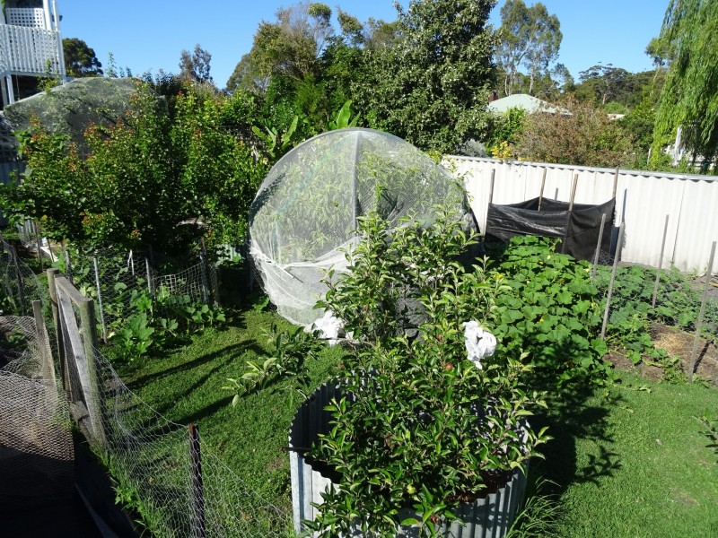 13 Parry Street, Denmark WA 6333