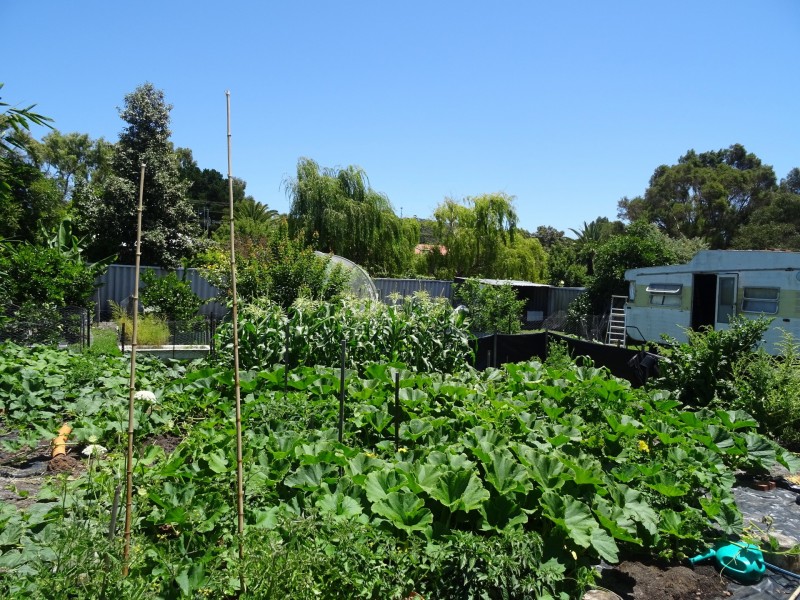 13 Parry Street, Denmark WA 6333