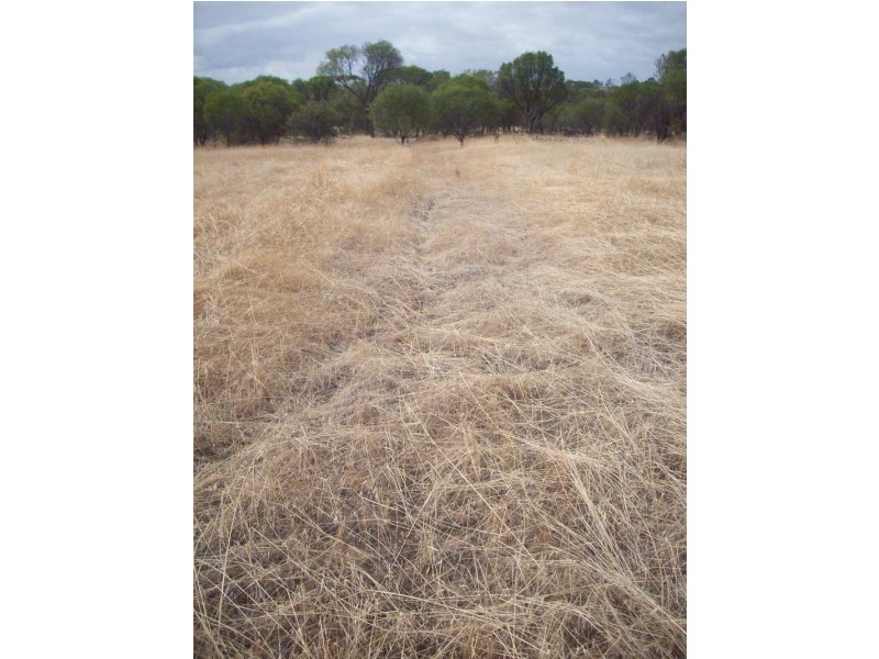 Lots 104 – 107 Marley Road, Mount Hardey WA 6302