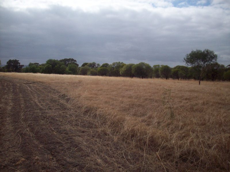 Lots 104 – 107 Marley Road, Mount Hardey WA 6302