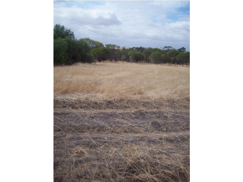 Lots 104 – 107 Marley Road, Mount Hardey WA 6302