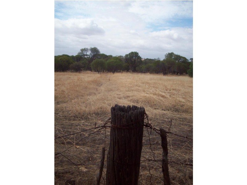 Lots 104 – 107 Marley Road, Mount Hardey WA 6302