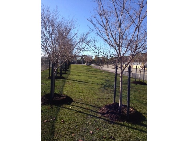 9B Emerald Way, Carine WA 6020