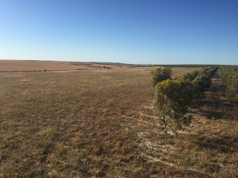 3808 Ogilvie Road West, Yallabatharra WA 6535